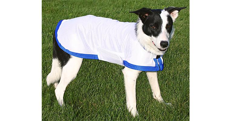 Easy dry shop cooling coat